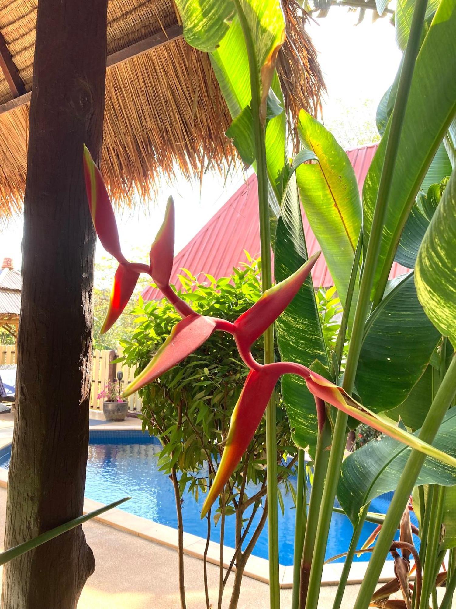Villa Ayutthaya At Kantiang Bay Ko Lanta Dış mekan fotoğraf